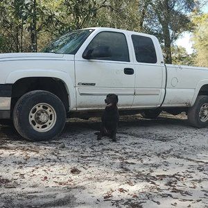 Meet your Posher, Aiden